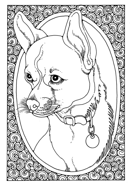 Målarbild porträtt av en hund - Bild 28205.