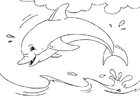 F�rgl�ggningsbilder delfin