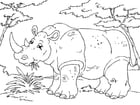 F�rgl�ggningsbilder noshörning