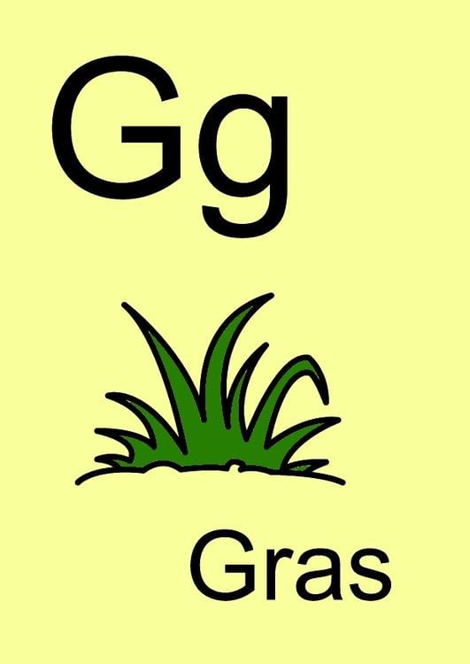 g