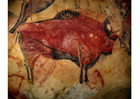 Foto fÃ¶rhistorisk bildkonst - bison