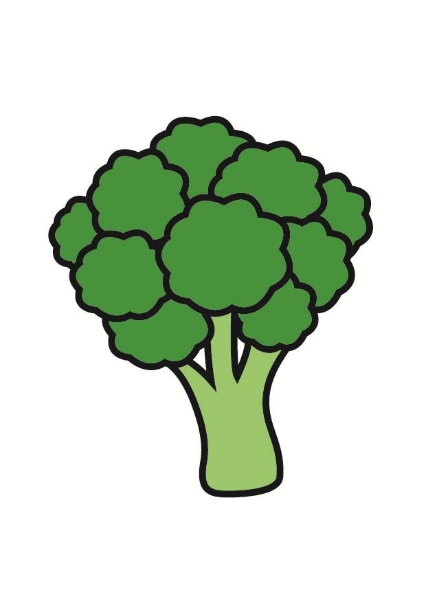 bild broccoli