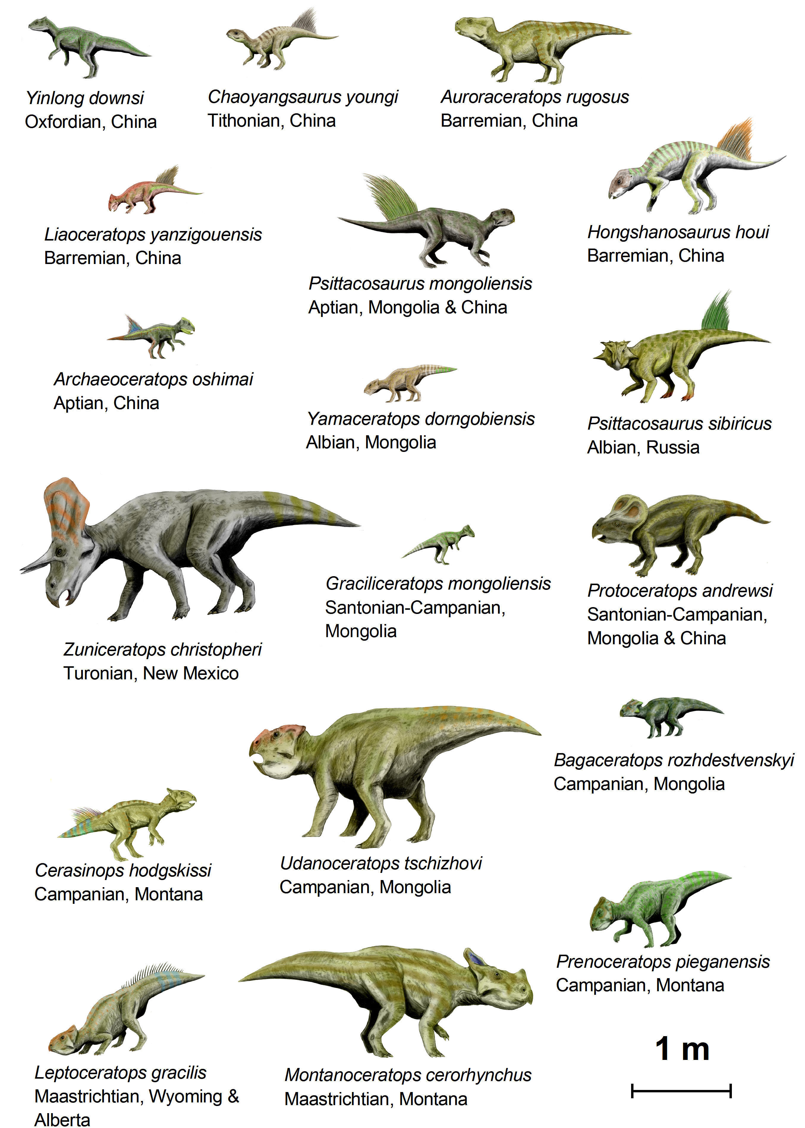 bild dinosaurier (basal ceratopsia)