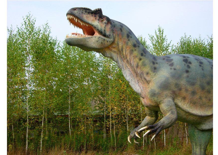 Foto allosaurus replik