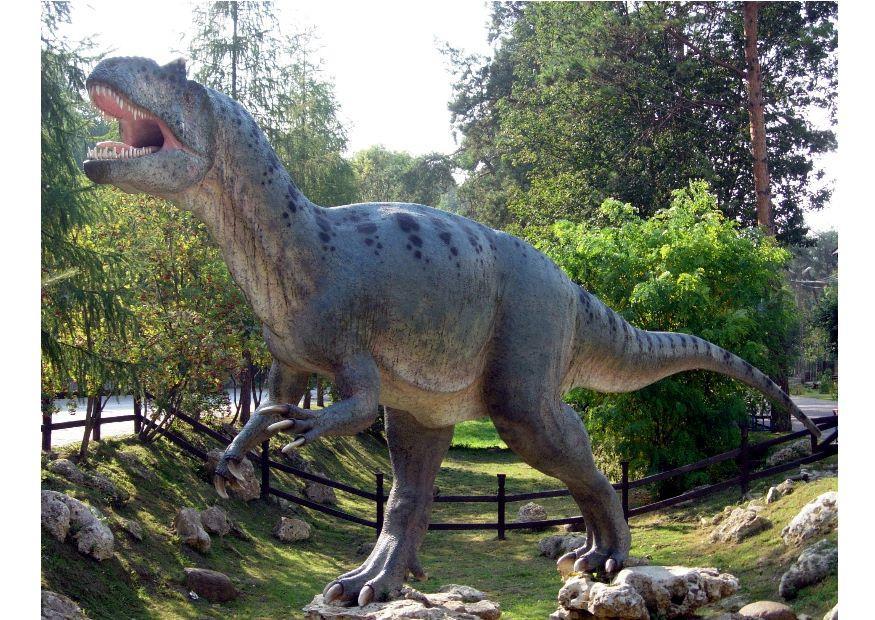 Foto allosaurus replik