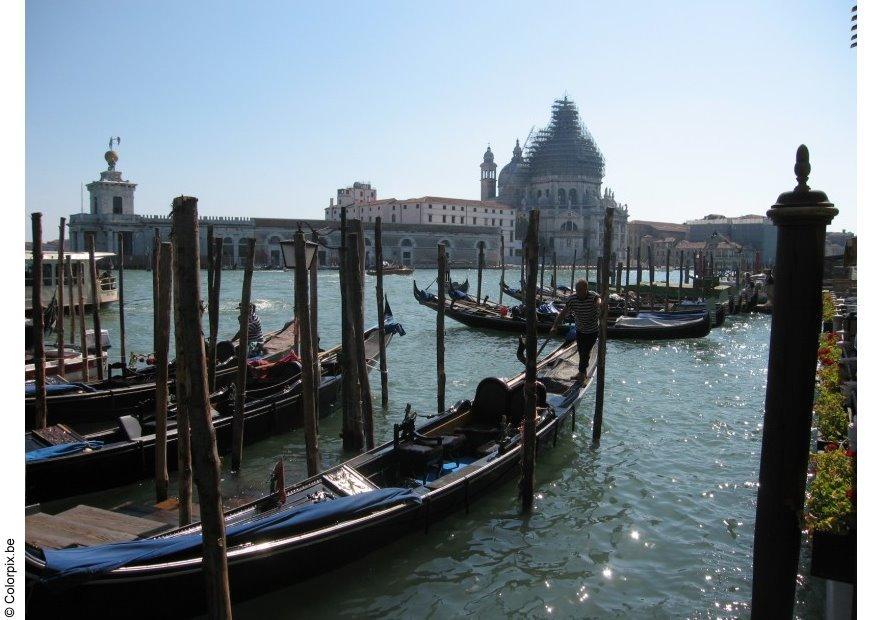 Foto gondoler - canal grande i venedig