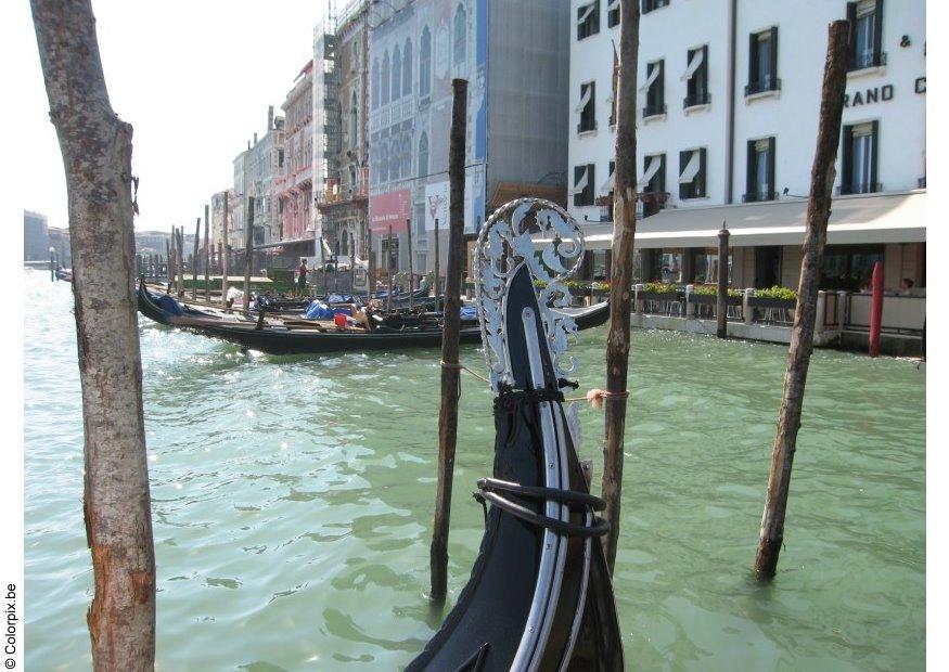 Foto gondoler i venedig