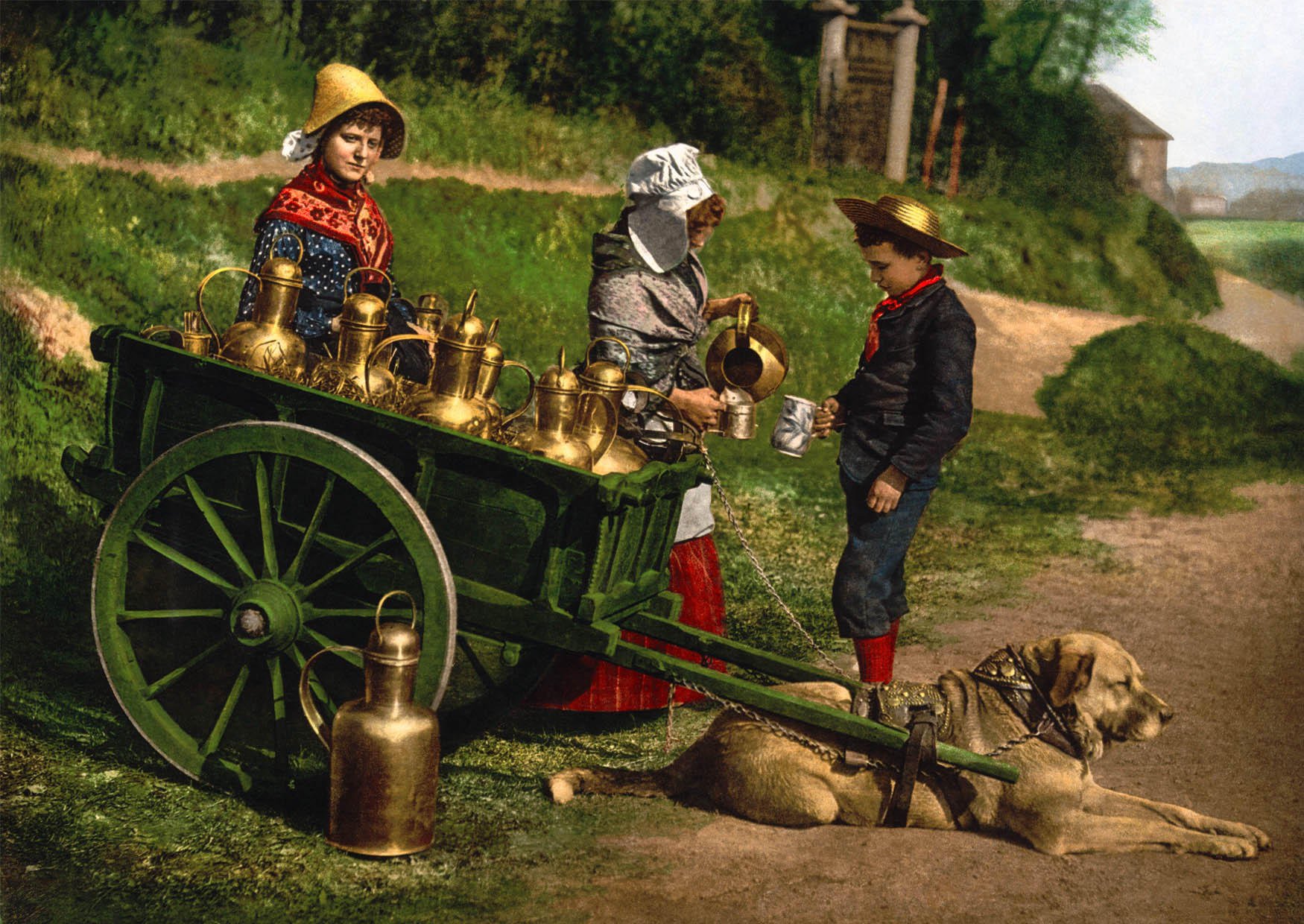 Foto mjA¶lkfA¶rsA¤ljare med hundvagn - belgien 1890