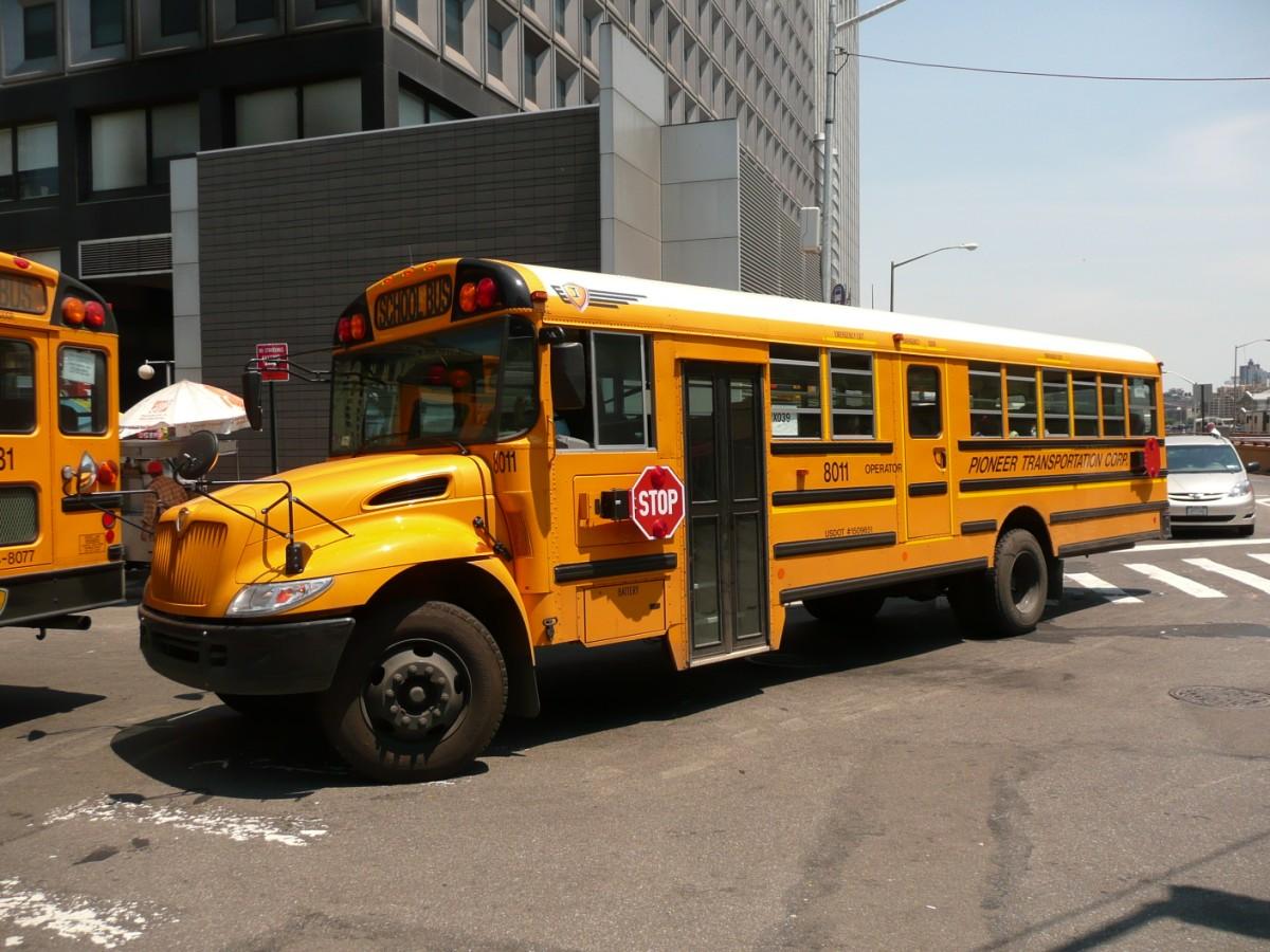 Foto new york - buss