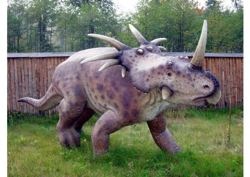 Foto styracosaurus replik