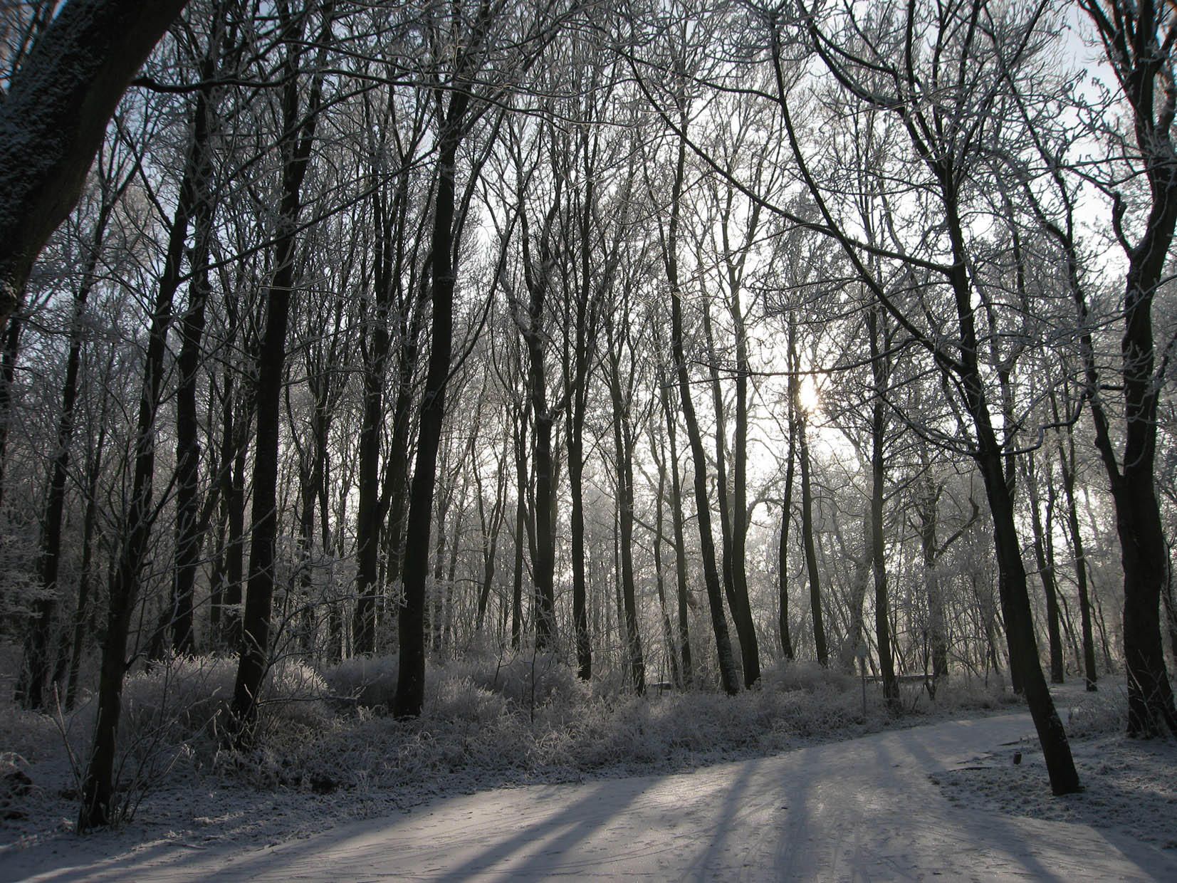 Foto vinter