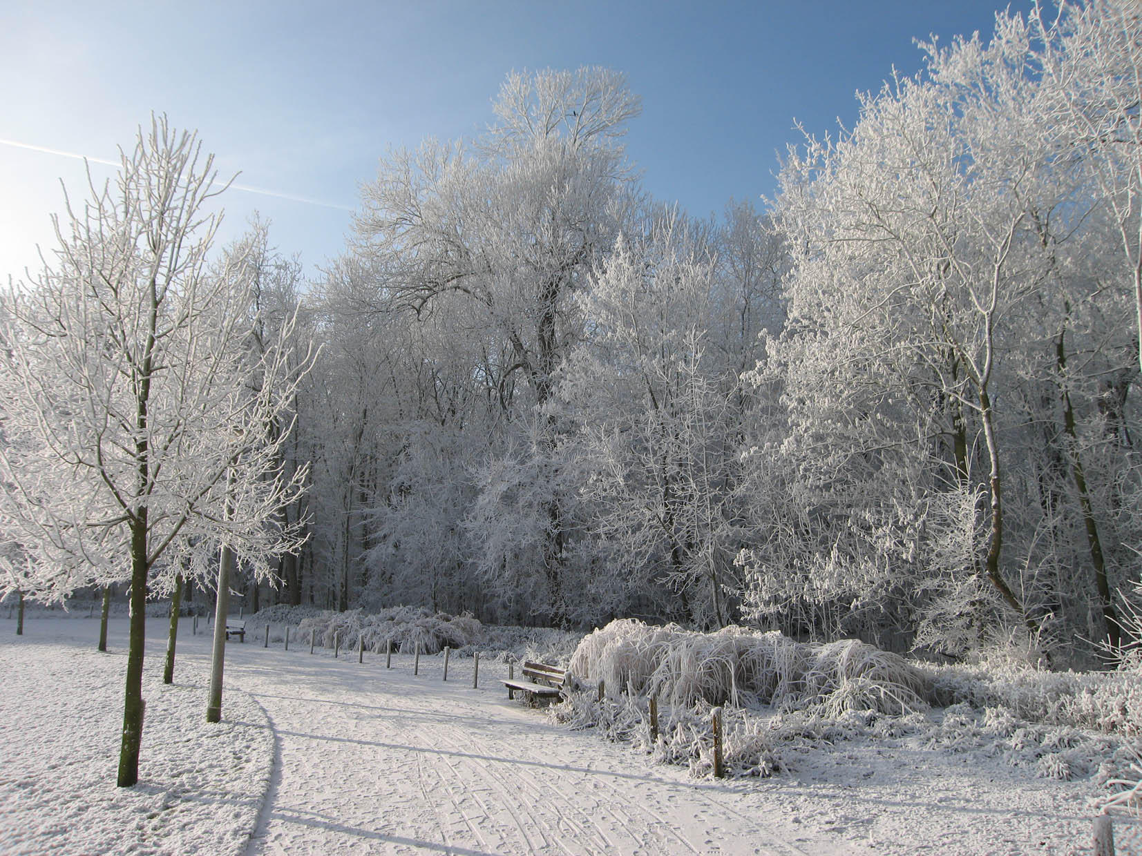 Foto vinter