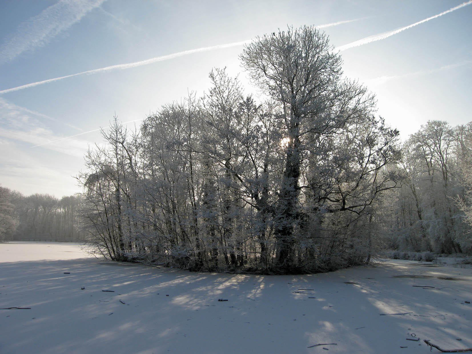 Foto vinter