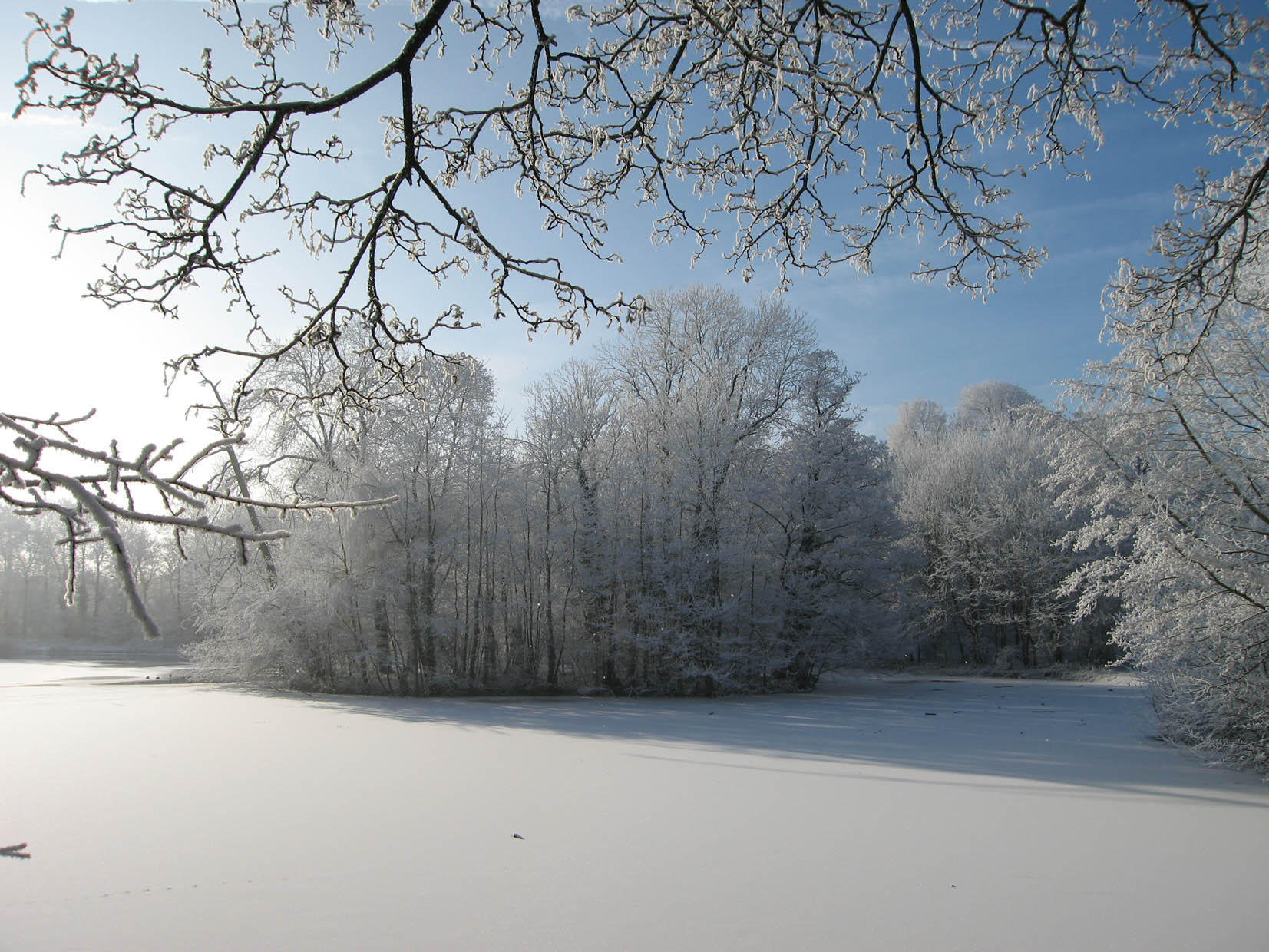 Foto vinter