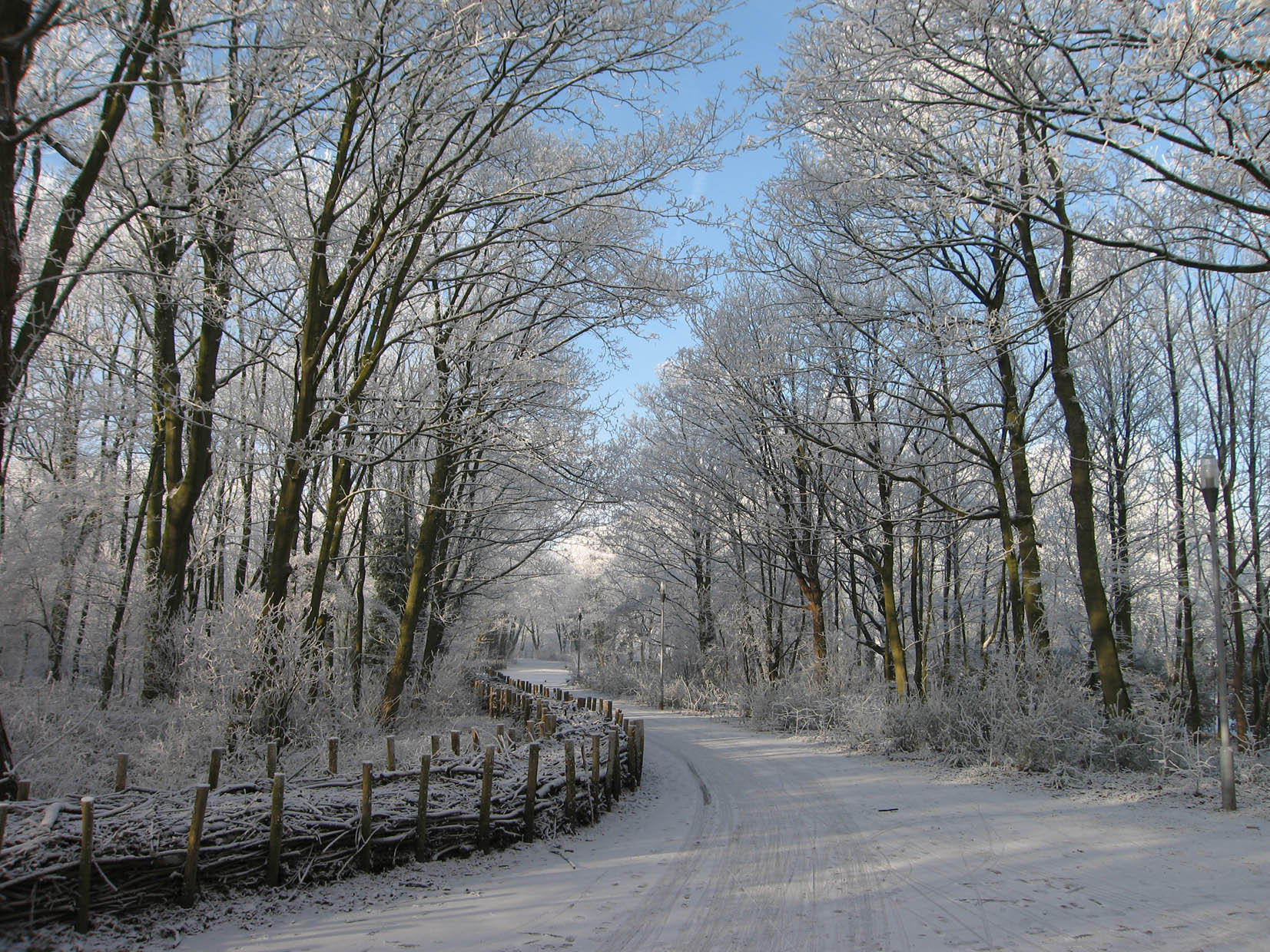 Foto vinterlandskap