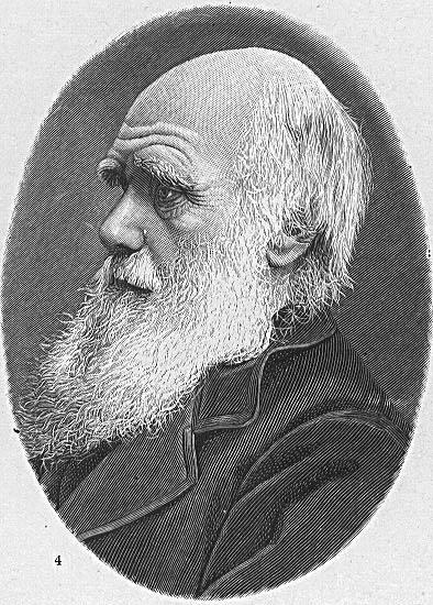 Målarbild charles darwin