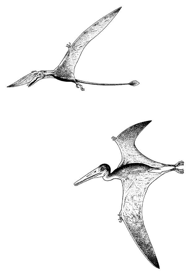 Målarbild flygande dinosaurier