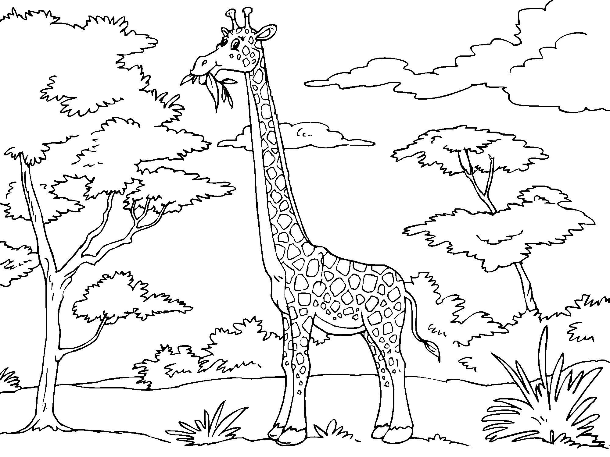 Målarbild giraff