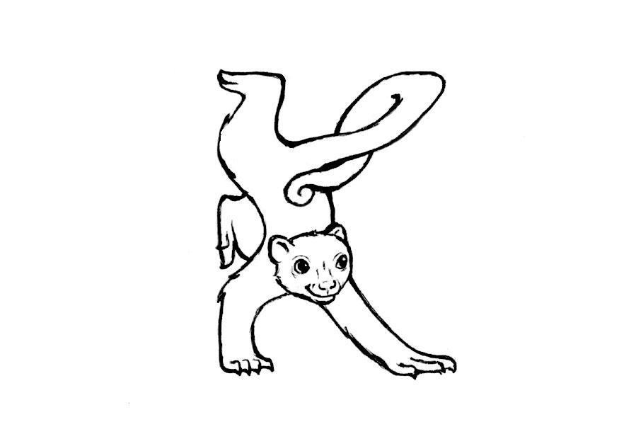 Målarbild k-kinkajou