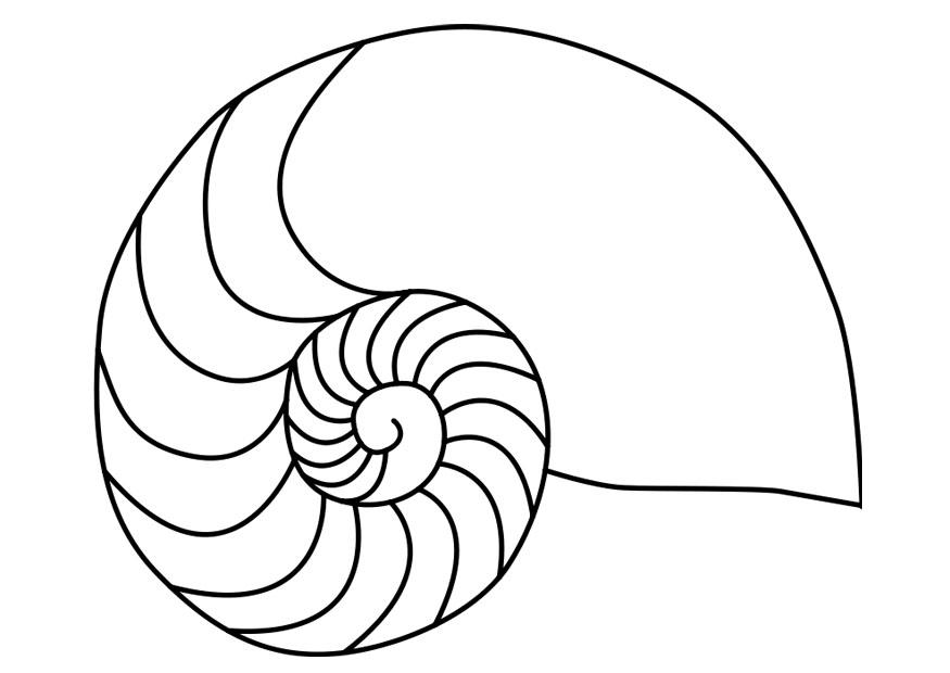 Målarbild nautilus blA¶tdjur blA¤ckfisk