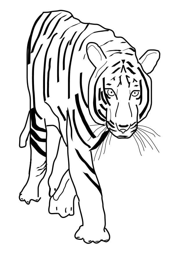 Målarbild tiger