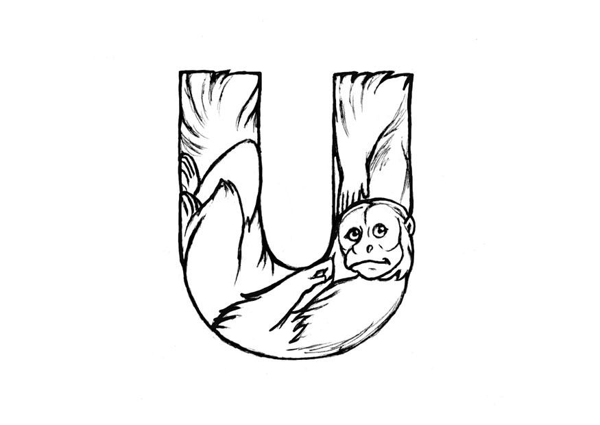 Målarbild u-uakari