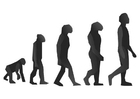 Målarbild evolution