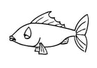 Målarbild fisk
