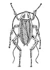 Målarbild kackerlacka